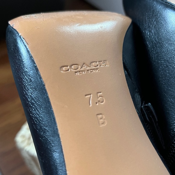 Coach 7.5 - Picture 4 of 5